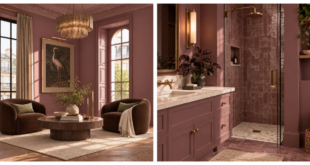 C2 Paint 2027 COTY