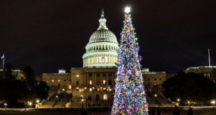 Arrow Tool group U.S. Capitol Christmas Tree