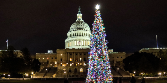 Arrow Tool group U.S. Capitol Christmas Tree